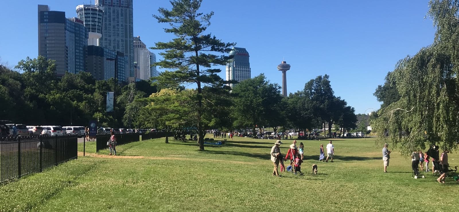 Toronto skyline and green park on a clear day